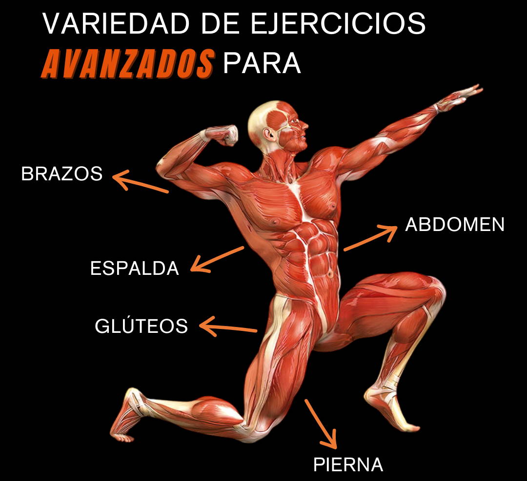 Rueda Abdominal Rebote Automático Con Te 1