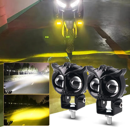 🚨 Exploradoras Búho Bicolor + switch: Más Luz, Más Estilo, Más Seguridad