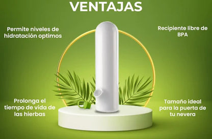 🌿💧 GreenVault Fresh X2 – ¡Tu secreto para hierbas siempre frescas y llenas de vida! 🥗✨